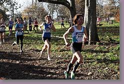 Begles 15.12.13 01 730 * 679 x 453 * (215KB)